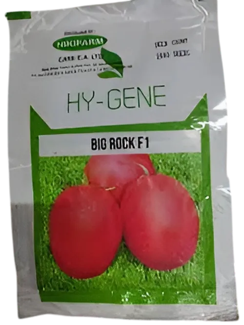 TOMATO BIG ROCK 10,000SEEDS NIKIFARM