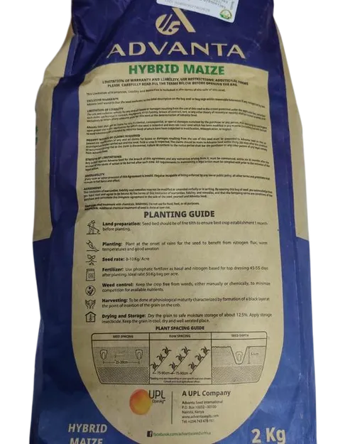 MAIZE ADVANTA 2308W 2KG