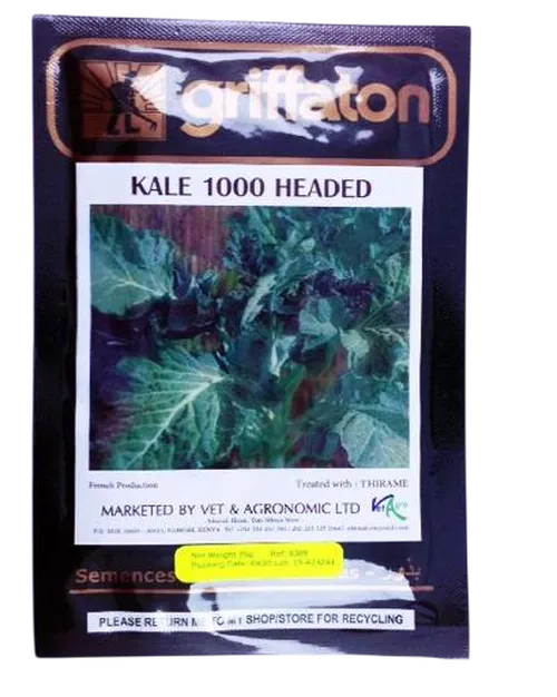 KALE 1000 HEADED   10GMS GS