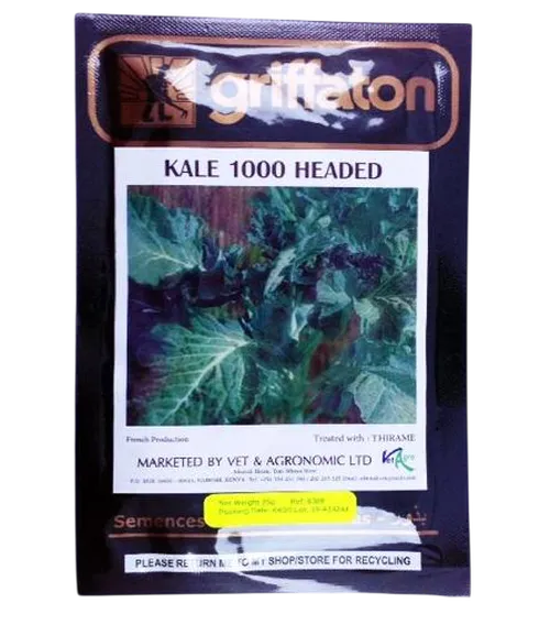 KALE 1000 HEADED   25GMS GS