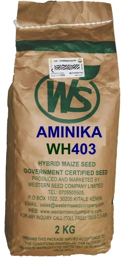 MAIZE 403 HYBRID 2KG W.SEED AMINIKA