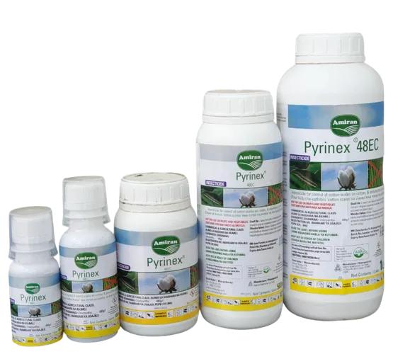 CHLORPYRIFOS PYRINEX   60MLS A