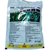 ACEPHATE ORTHENE  500GMS