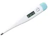 DIGITAL THERMOMETER