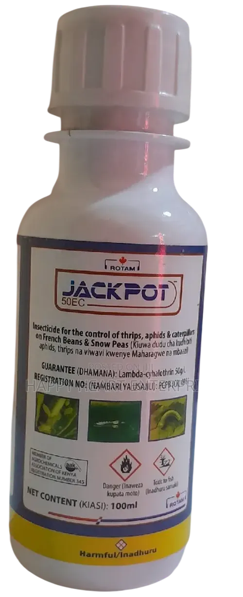 LAMBDA JACKPOT 50EC 100MLS