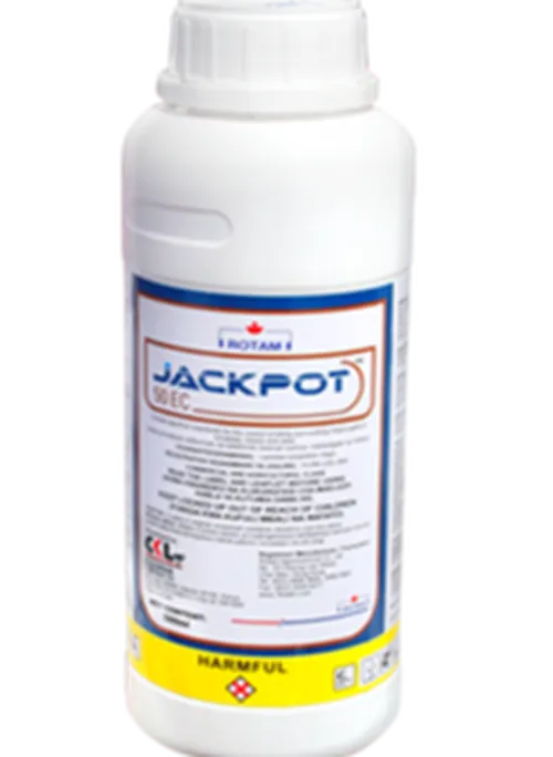 LAMBDA JACKPOT 50EC   25MLS