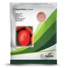 TOMATO ASSILA 10GMS SEMINIS