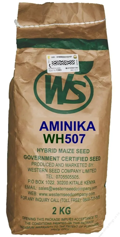 MAIZE 507 HYBRID 2KG W.SEED AMINIKA