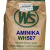 MAIZE 507 HYBRID 2KG W.SEED AMINIKA
