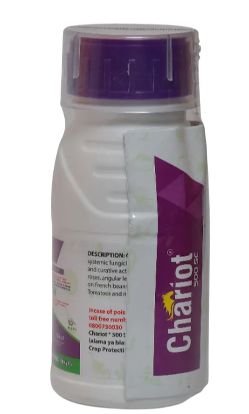 CARBENDAZIM CHARIOT 100MLS