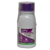 CARBENDAZIM CHARIOT 100MLS