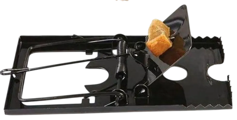 MOUSE & RAT TRAP