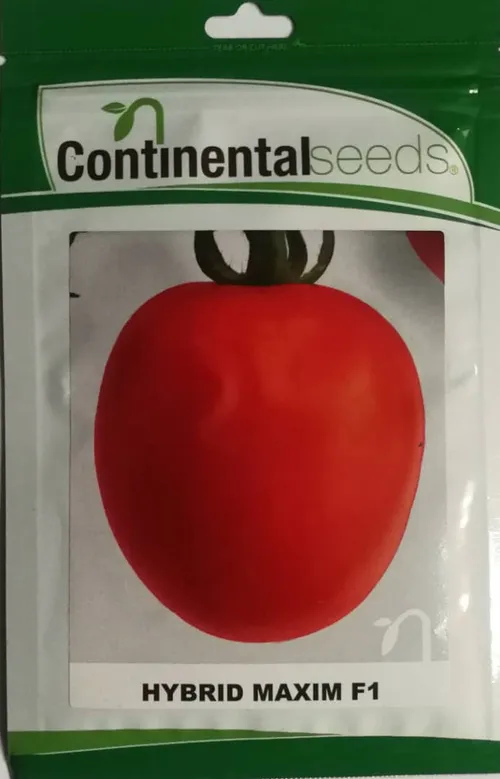 TOMATO MAXIM F1 10GM