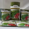 W MELON NDOVU F1  100GM