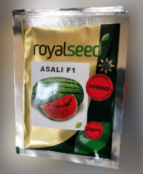 W MELON ASALI  25GM