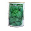 AMARANTHUS DUBIOUS 10GMS SIM