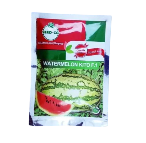 W MELON KITO F1 50GMS SEEDCO