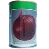 ONION RED CORNET FI 50GM CONTINE