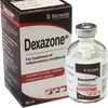 DEXAMETHASONE 50MLS BIMEDA