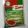 W MELON KITO F1 25GMS SEEDCO
