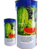 W MELON (MARIDADI) 100GM