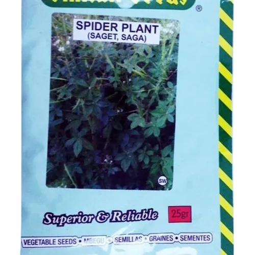 SAGET (SPIDER PLANT)  50GMS SIM