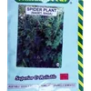 SAGET (SPIDER PLANT)  50GMS SIM