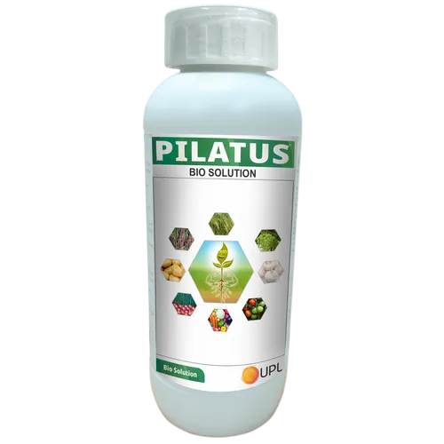 PILATUS 500MLS