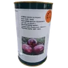 ONION SD SV 7030NS F1 500GMS SEMINIS