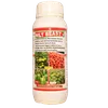 WILT BEAST 500 MLS