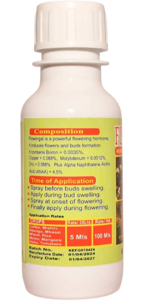 FLOWER GAL  100MLS
