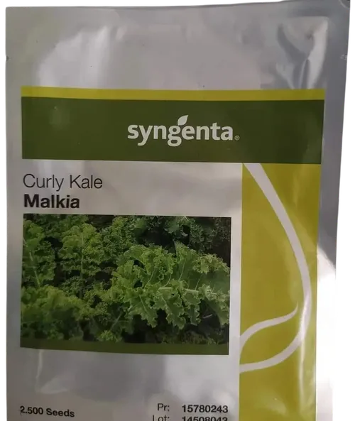 KALE CURLY MALKIA FI 2,500SEEDS