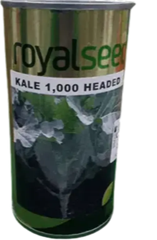 KALE 1000 HEADED 25GMS ROYAL SEED