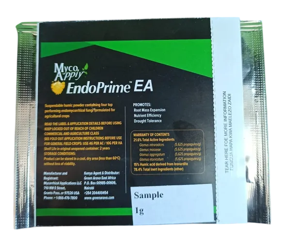 MYCO APPLY ENDOPRIME 4GMS