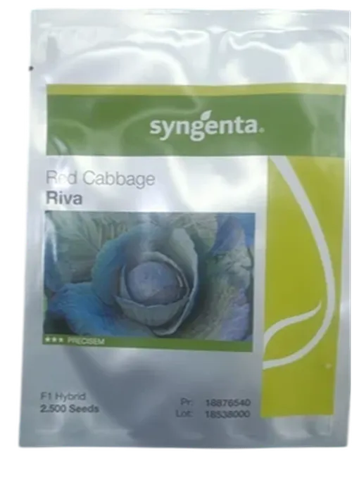 RED CABBAGE RIVA 2500 SDS
