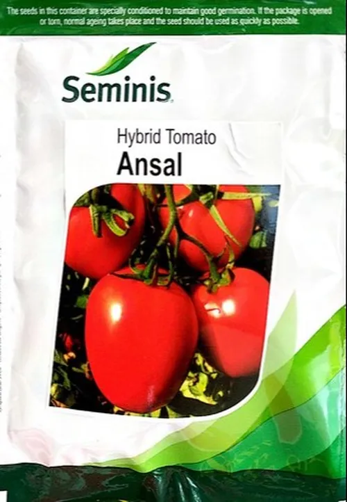 TOMATO ANSAL 1000 SEEDS