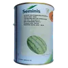 W MELON APOORVA F1 500GMS LCHLN