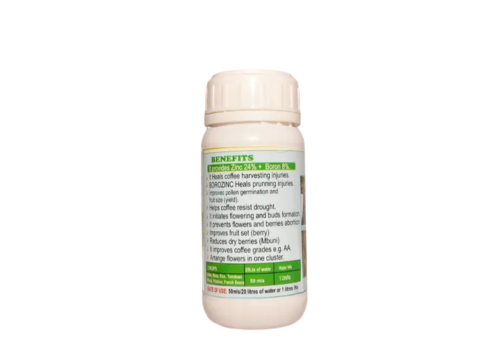 BOROZINC 250MLS EUROCHEM