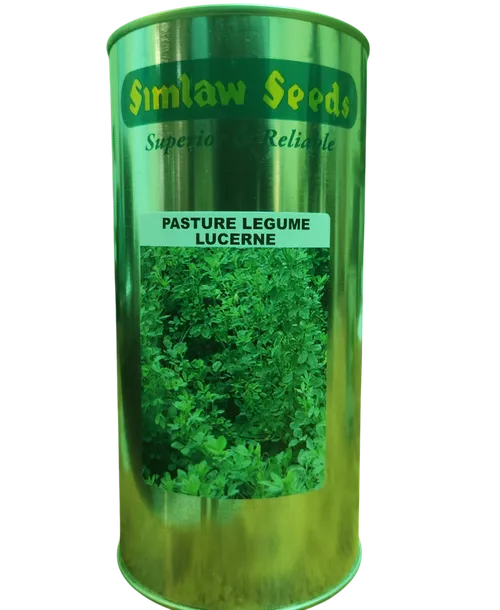 PASTURE GRASS LUCERNE AURORA 1KG