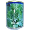 COLLARDS  50GM AMIRAN