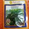 CORRIANDER GREEN AROMA 4GMS EA(DHANIA)