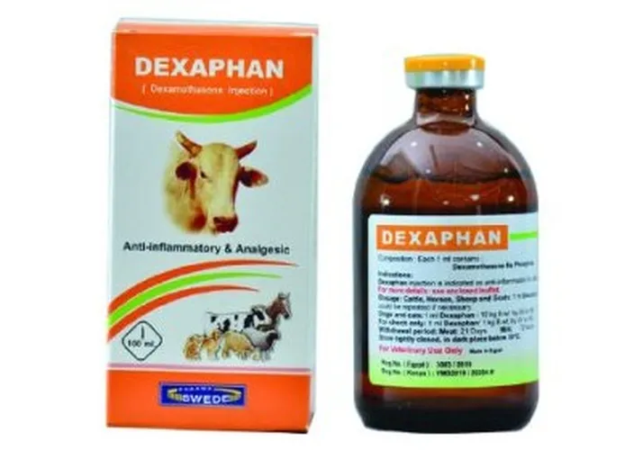 DEXAMETHASONE DEXAPHAN 100MLS MEDINA