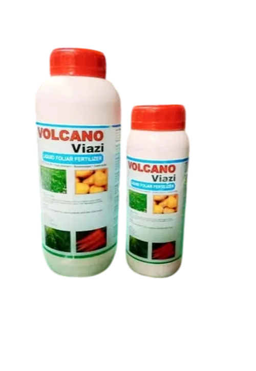 VOLCANO VIAZI 1LTR