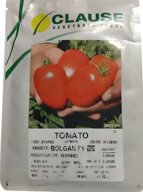 TOMATO BOLGAN F1 1000SDS