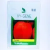 TOMATO TM 20 F1 1000SDS
