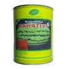W MELON BAHATI F1 250GMS AGRICHEM