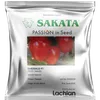 TOMATO EMERALD F1 2500SDS LACHLAN