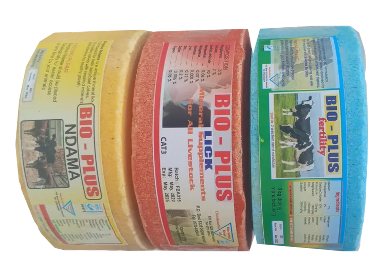 BIO-PLUS MINERAL BRICK 1KG BIO-SCIENCE.