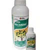 MACARENA 1LTR