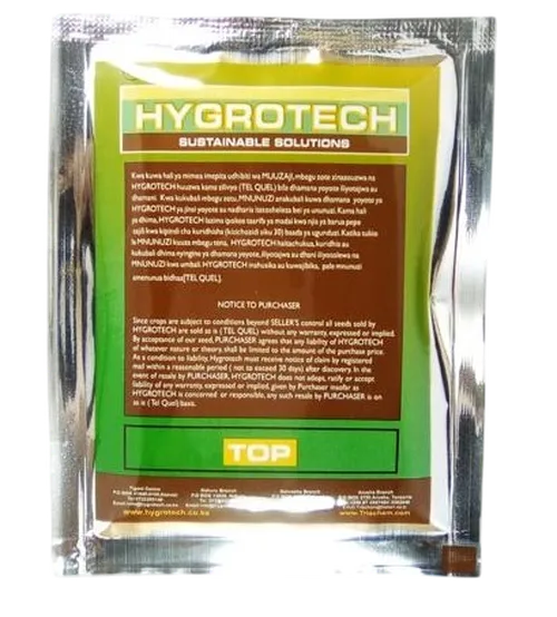 CORRIANDER AMERICAN 25GM HYGROTECH